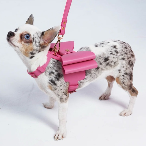 Paris Hilton & Moshiqa Doggy Harness - Picture 3 of 4